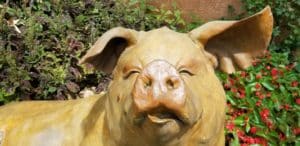 Cute Pig Statue 2022 Landscaping Trends