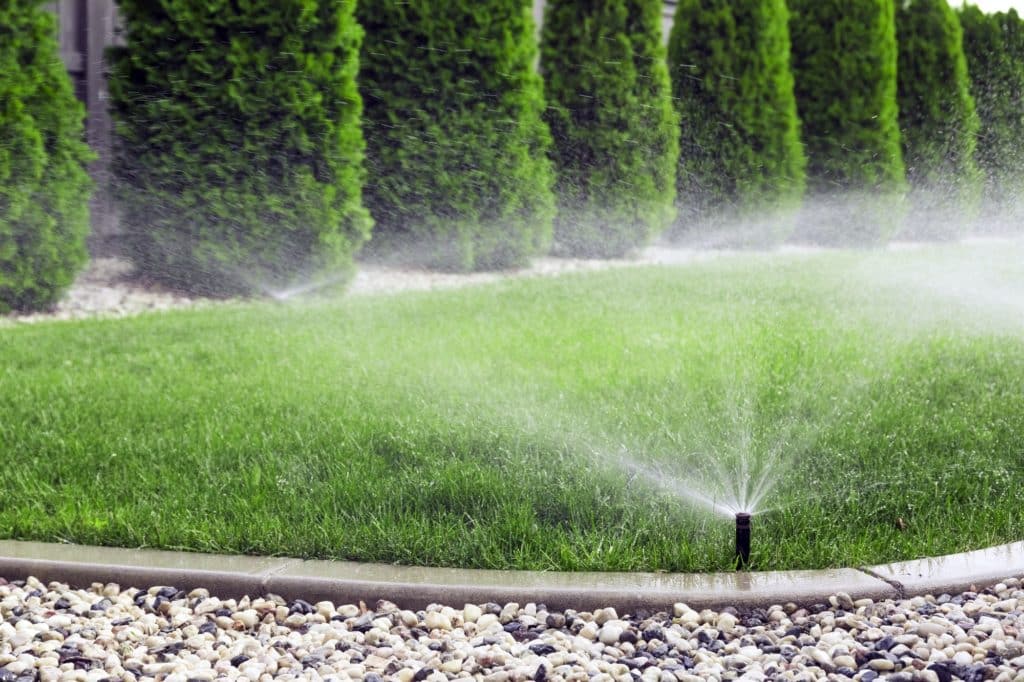7 Things To Do To Get A Great-Looking Lawn