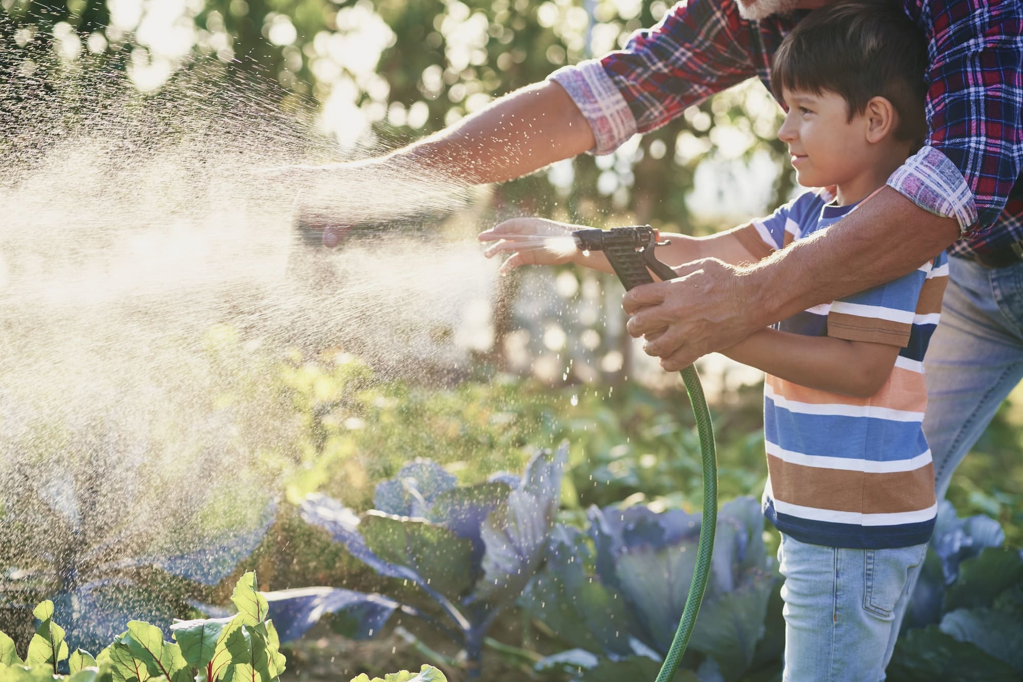 Boy helping watering vegetables in the garden