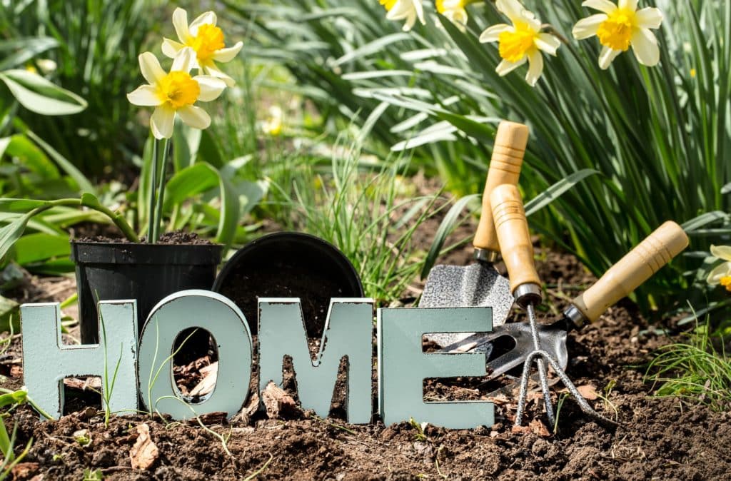 Garden Maintenance: Tips and Techniques for Homeowners