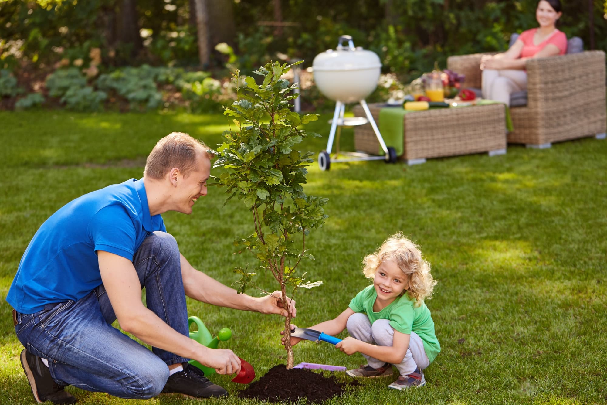 Father and son planting tree - des moines landscaping