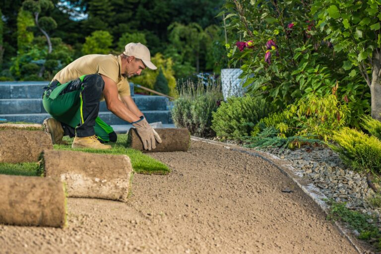 5 Reasons to Hire Professional Landscape Maintenance