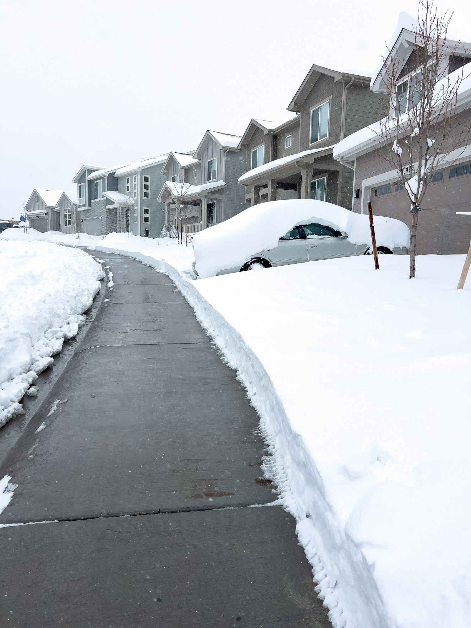 Freshly Shoveled Driveways After Winter Snowfall