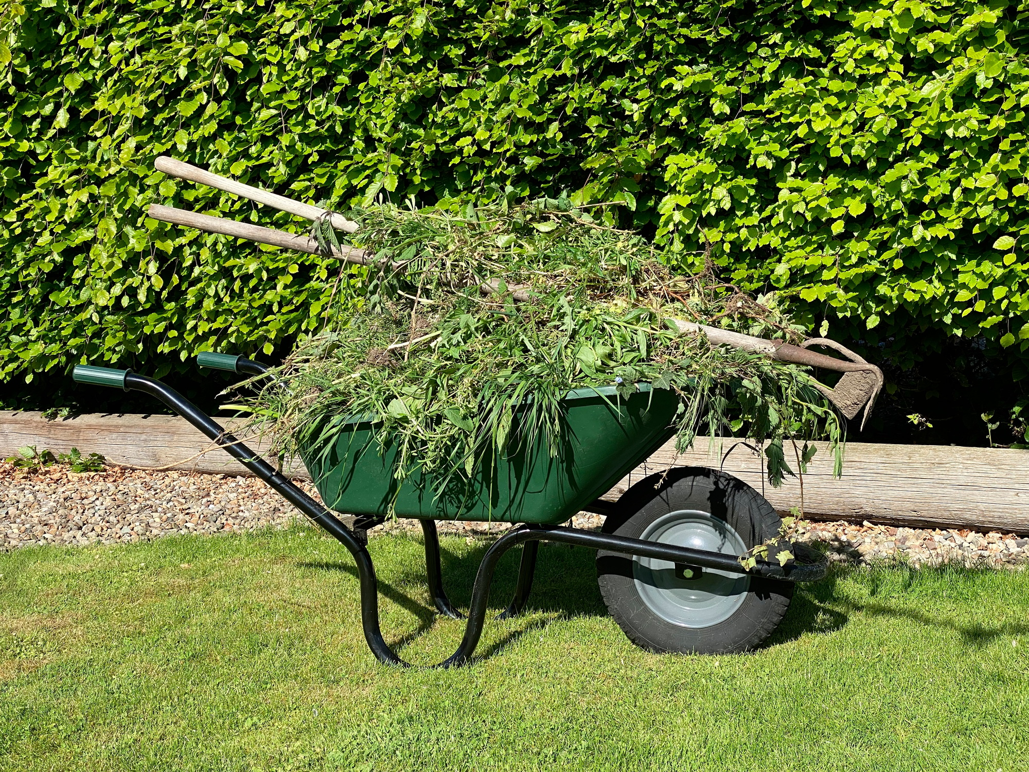 des moines lawn clean up - wheelbarrow full of weeds