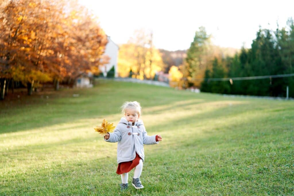 fall lawn fertilizer