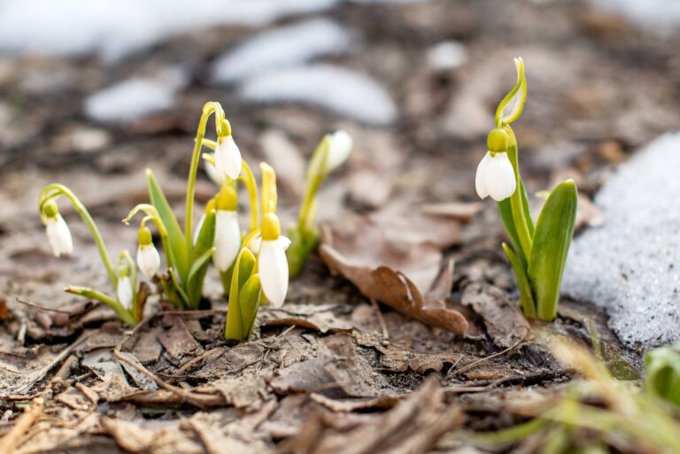 How Iowa’s Freeze-Thaw Cycles Can Wreck Your Patio or Retaining Wall